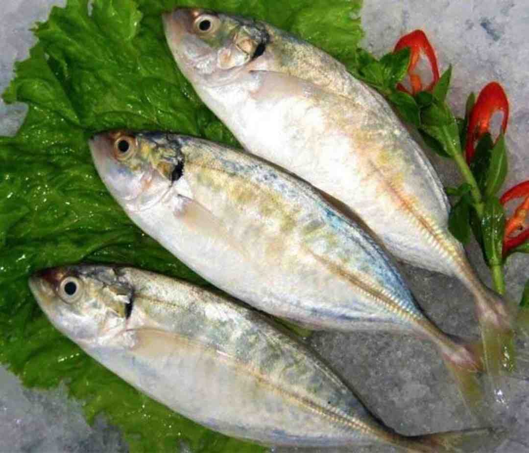 Giá trị dinh dưỡng trong mỗi con cá