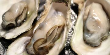 Hình ảnh ruột bên trong của con hàu