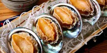 Bào ngư là loại hải sản quý hiếm được ưa chuộng nhiều hiện nay