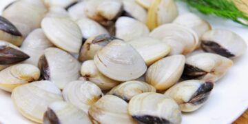 Cách chọn nghêu ngon