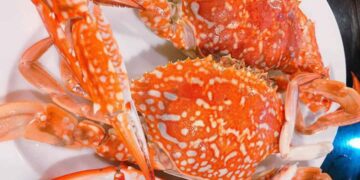 Con ghẹ có chất gì?