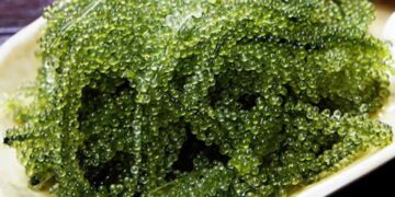 Cách ăn rong nho tươi