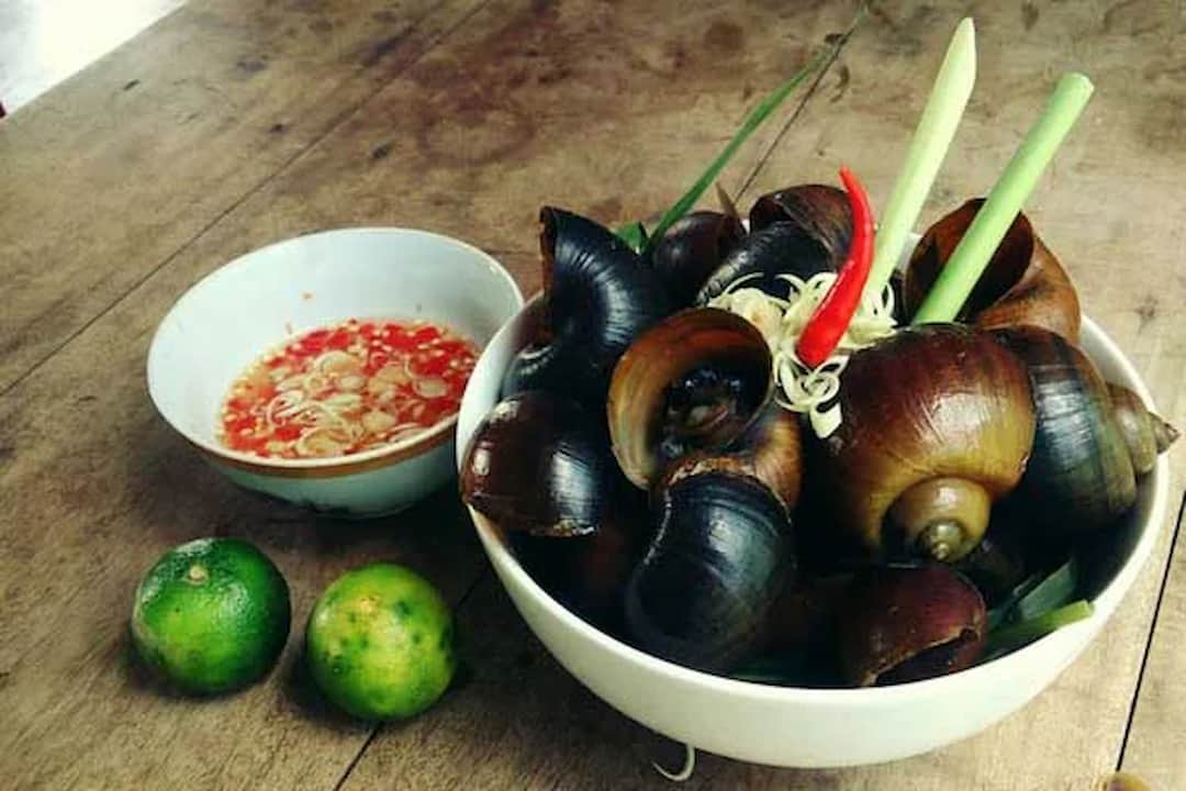 Ốc thơm ngon cùng bát nước chấm là combo hoàn hảo