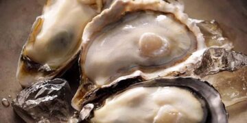 Tăng cường miễn dịch - Tác dụng của hàu