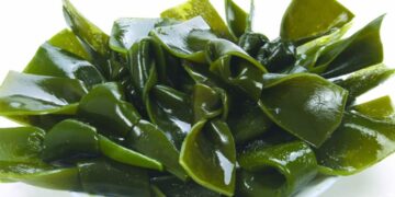 Rong biển có nhiều tác dụng bất ngờ với sức khỏe