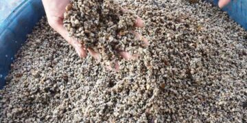 Canh hến - Món ăn từ hến