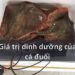 Giá trị dinh dưỡng của cá đuối