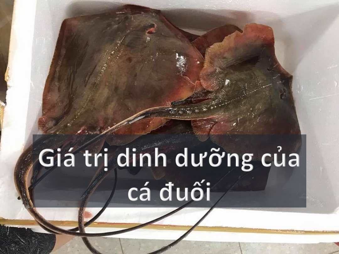 Giá trị dinh dưỡng của cá đuối