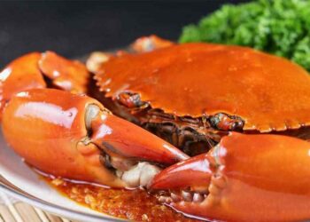 Selenium là chất chống chế oxy hóa có nhiều trong cua biển