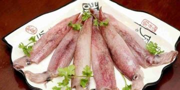 Đặc điểm về loài mực