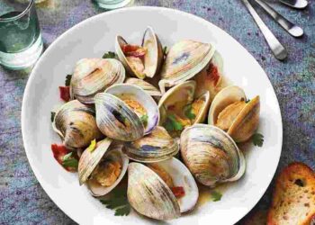 Nghêu có khá nhiều loại