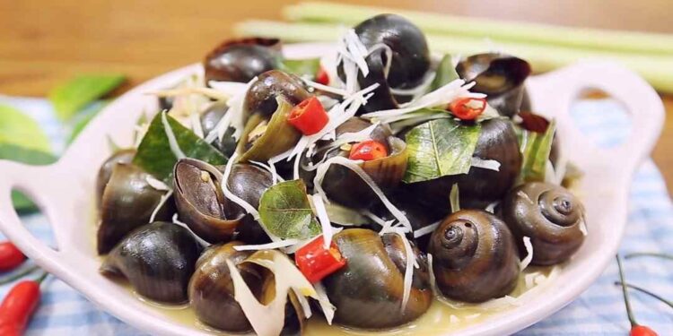 Những món ốc siêu ngon, hấp dẫn
