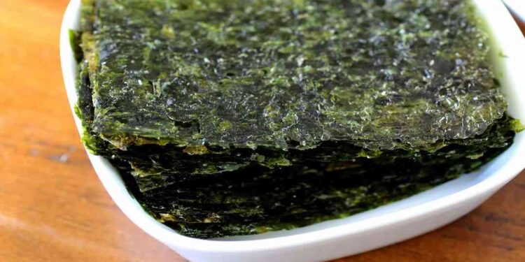 Rong biển đã được sử dụng từ 10 nghìn năm trước