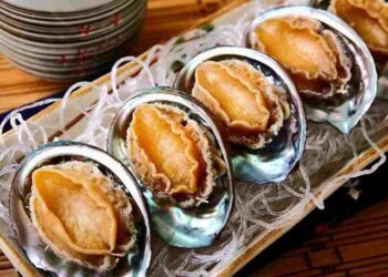 Bào ngư là loại hải sản quý hiếm được ưa chuộng nhiều hiện nay