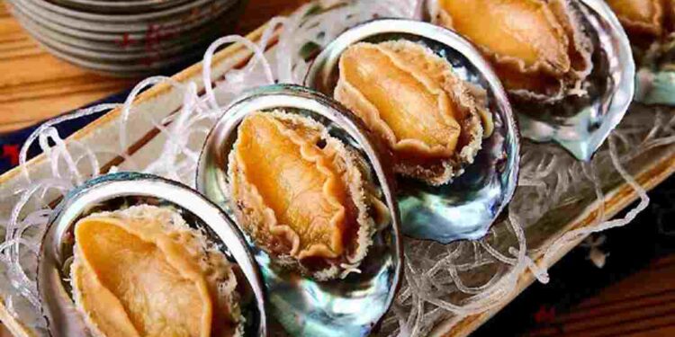 Bào ngư là loại hải sản quý hiếm được ưa chuộng nhiều hiện nay