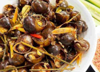 Ốc bươu hấp và ăn cùng nước mắm sả thì hết sẩy