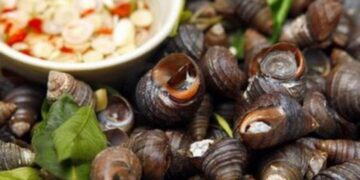 Ốc vặn có phần đuôi ở bên trong màu vàng, vỏ ốc cứng màu đen