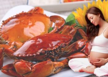 Bà bầu ăn cua biển được không