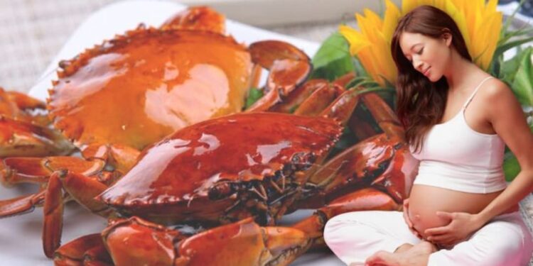 Bà bầu ăn cua biển được không