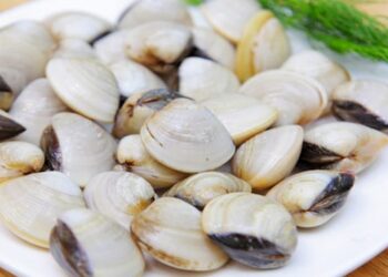 Cách chọn nghêu ngon