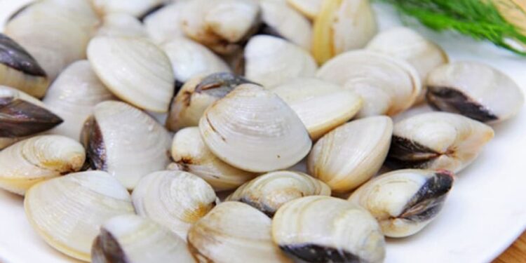 Cách chọn nghêu ngon