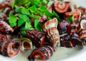 Ốc len xào - món ngon từ ốc