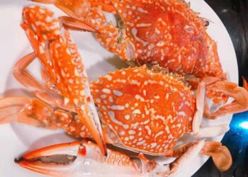 Con ghẹ có chất gì?