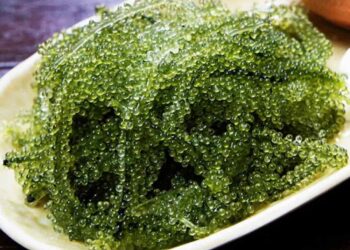 Cách ăn rong nho tươi