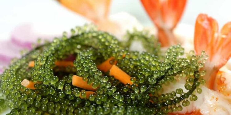 Cách làm gỏi rong nho