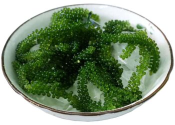 Mất cân bằng nội tiết tố trong cơ thể