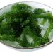 Mất cân bằng nội tiết tố trong cơ thể
