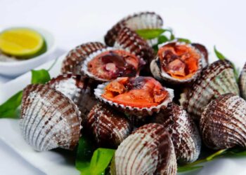 Tại sao cần bảo quản sò huyết tươi sống