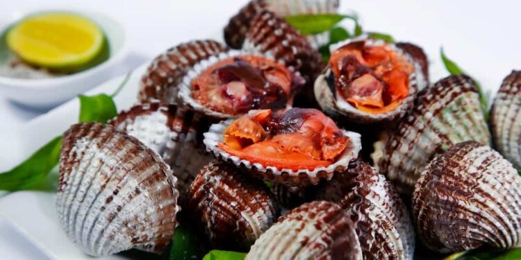 Tại sao cần bảo quản sò huyết tươi sống