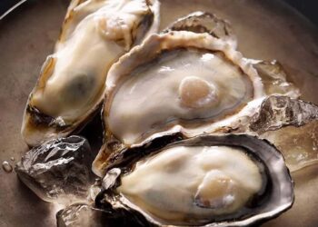 Tăng cường miễn dịch - Tác dụng của hàu