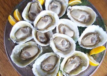 Có bao nhiêu loại hàu trên thị trường hiện nay