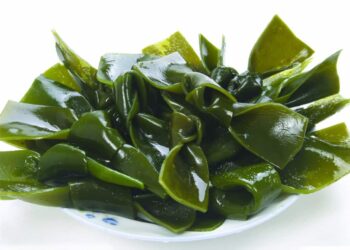 Rong biển có nhiều tác dụng bất ngờ với sức khỏe
