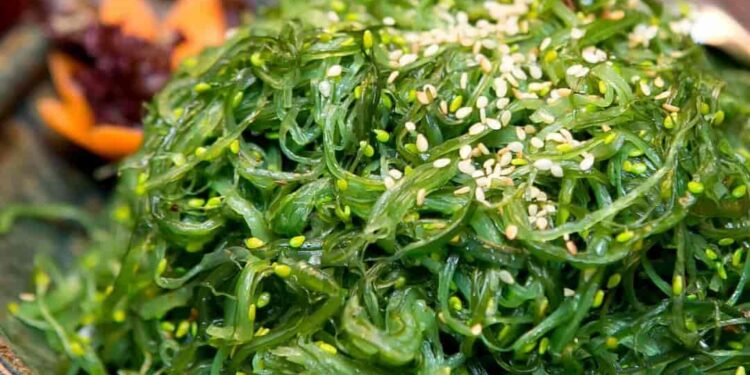 Rong biển hỗ trợ tiêu hóa