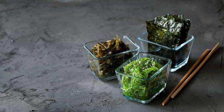 Nguồn gốc của rong biển ở Hàn Quốc