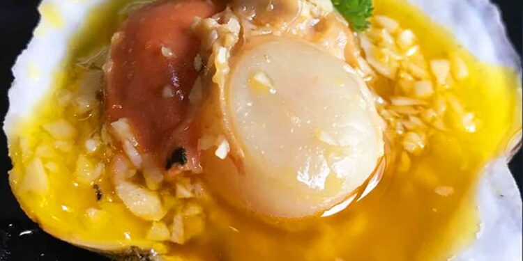 Sò điệp Nhật một trong những món hải sản hấp dẫn nhất