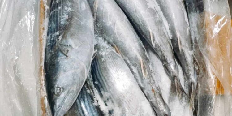 Cá thu Nhật nấu món gì ngon?