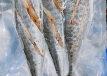 Một số lưu ý khi ăn cá thu