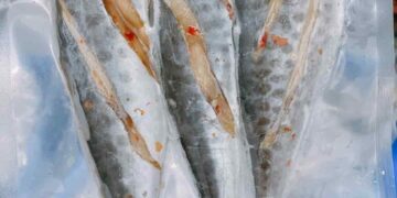 Một số lưu ý khi ăn cá thu