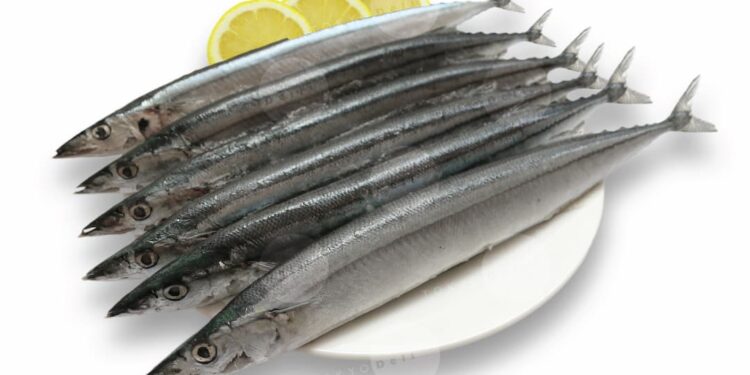 Cá thu hỗ trợ điều trị bệnh vảy nến