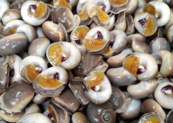 Cách làm ốc mỡ hết nhớt