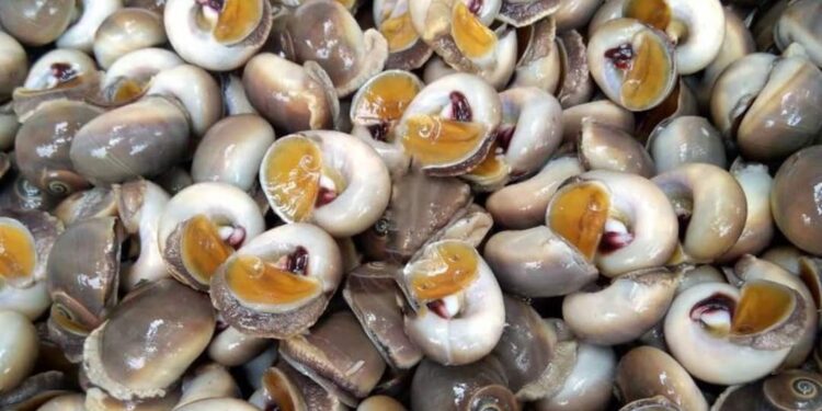 Cách làm ốc mỡ hết nhớt