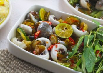Ốc mỡ là gì?