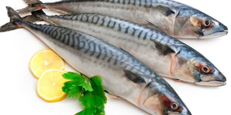 Cá nục chiên nước mắm, tỏi