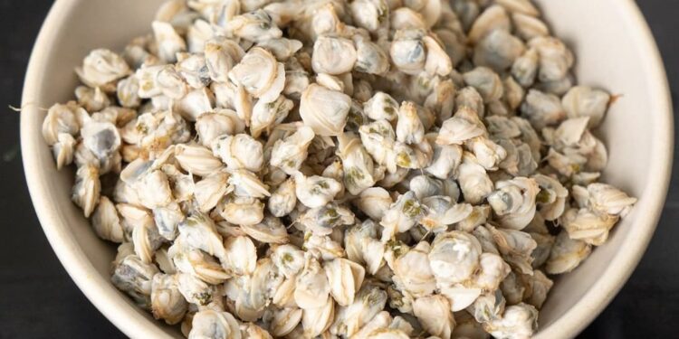 Sắt và Vitamin B12 - Giá trị dinh dưỡng của hến