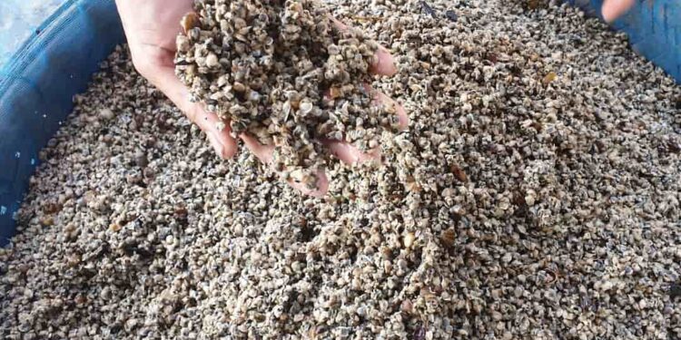 Canh hến - Món ăn từ hến