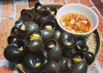 Nguyên Liệu Làm Ốc Bươu Nhồi Thịt